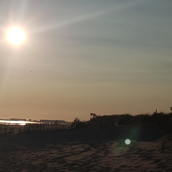 Meet your Posher, Venus - Picture 9 of 9